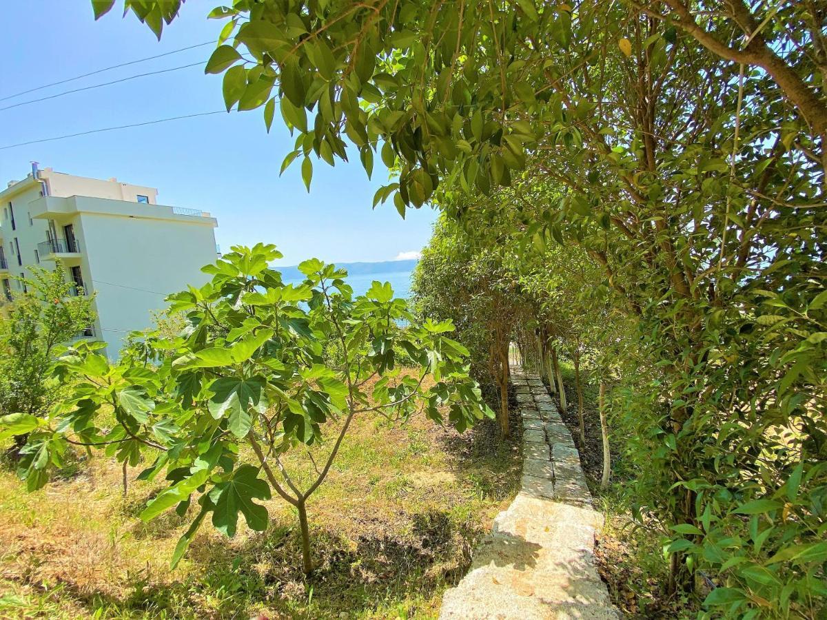 Ramo'S Cozy Beachside Haven With Panoramic Views - 1St Влёра Экстерьер фото